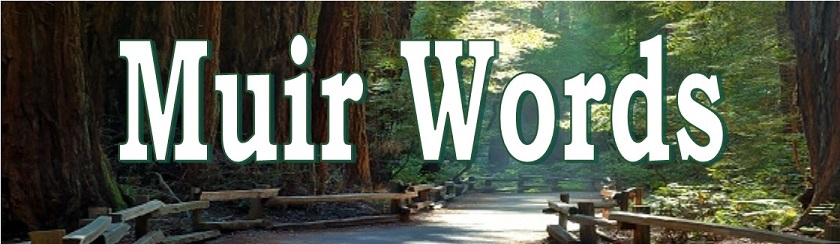muir-words-banner